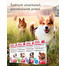 BEAPHAR Fiprotec Dog M 134 mg 1 pipeta kropli p/pasożytom