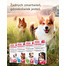 BEAPHAR Fiprotec Dog XL 402 mg 1 pipeta kropli p/pasożytom