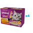 WHISKAS Adult saszetka 48x85g Kremowe Wariacje mokra karma dla dorosłych kotów w sosie z: kurczakiem i warzywami, jagnięciną i indykiem
