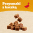 PEDIGREE Ranchos Cubes 70 g karma uzupełniająca dla dorosłych psów z kaczką
