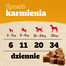 PEDIGREE Ranchos Cubes 70 g karma uzupełniająca dla dorosłych psów z wołowiną