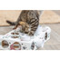 Cat Activity Paws'n'Treats Box zabawka edukacyjna dla kota 35×7×20 cm karton