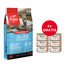 ORIJEN 6 Fish Cat 5.4 kg + APPLAWS Cat Adult Tuna Fillet with Salmon in Jelly tuńczyk i łosoś w galarecie 6 x 70g GRATIS