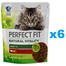 PERFECT FIT Natural Vitality 1+ sucha karma pełnoporcjowa dla dorosłych kotów z wołowiną i kurczakiem 6x650 g