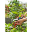 GARDENA Nóż do ziół i warzyw VeggieCut