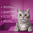 WHISKAS Adult Pure Delight saszetka 85 g mokra karma pełnoporcjowa dla dorosłych kotów, kawałki z wołowiną w galaretce
