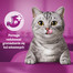 WHISKAS Anti-Hairball 50 g przysmaki odkłaczające dla dorosłych kotów