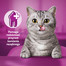 WHISKAS Dentabites 40 g dentystyczny przysmak dla dorosłych kotów