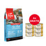 ORIJEN 6 Fish Cat 5.4 kg + APPLAWS Cat Adult Mousse Chicken mus z kurczakiem 6 x 70g GRATIS