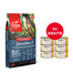 ORIJEN Cat Guardian 8 Adult 4,5 kg + APPLAWS Cat Adult Mousse Chicken mus z kurczakiem 6 x 70g GRATIS