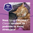 FELIWAY Classic Spray