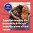 FELIWAY Friends Dyfuzor + Wkład
