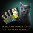 SHEBA Nature’s Collection Mega Pack 40x85 g mokra karma pełnoporcjowa dla dorosłych kotów