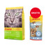 JOSERA SensiCat dla wrażliwych kotów 2 kg + Crunchies Dental 60 g chrupiące przysmaki dla kotów na zęby GRATIS