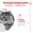 ROYAL CANIN Ageing 11+ 400 g dla dojrzałych kotów po 11 roku życia