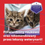 FELIWAY Friends 3 wkłady uzupełniający - feromony na konflikty między kotami
