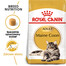 ROYAL CANIN Maine Coon Adult karma sucha dla kotów dorosłych rasy maine coon 6x400 g