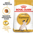 ROYAL CANIN Siamese adult 2x2 kg karma sucha dla kotów dorosłych rasy syjamskiej
