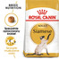 ROYAL CANIN Siamese adult 4x2 kg karma sucha dla kotów dorosłych rasy syjamskiej