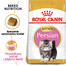 ROYAL CANIN Kitten persian 2x2 kg karma sucha dla kociąt do 12 miesiąca życia rasy perskiej
