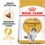 ROYAL CANIN Norvegian 2x2 kg karma sucha dla kotów dorosłych rasy norweski leśny
