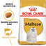 ROYAL CANIN Maltese adult 2x1.5 kg karma sucha dla psów dorosłych rasy maltańczyk