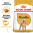 ROYAL CANIN Poodle Adult 2x1,5 kg karma sucha dla psów dorosłych rasy pudel miniaturowy