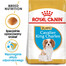 ROYAL CANIN Cavalier King Charles Spaniel Puppy karma sucha dla szczeniąt do 10 miesiąca, rasy cavalier king charles spaniel 2x1,5 kg