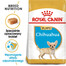 ROYAL CANIN Chihuahua Puppy junior 24x500 g karma sucha dla szczeniąt do 10 miesiąca rasy chihuahua