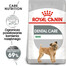 ROYAL CANIN CCN Mini Dental Care karma sucha dla psów dorosłych, ras małych, redukująca powstawanie kamienia nazębnego 2x1 kg