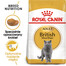 ROYAL CANIN British shorthair 34 4x2 kg sucha karma dla kotów dorosłych, powyżej 12 miesiąca, rasy brytyjski krótkowłosy