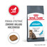 ROYAL CANIN Urinary Care karma sucha dla kotów dorosłych, ochrona dolnych dróg moczowych 6x400 g