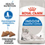 ROYAL CANIN Indoor Apetite Control 6x400 g karma sucha dla kotów dorosłych, przebywających wyłącznie w domu, domagających się jedzenia