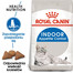 ROYAL CANIN Indoor Apetite Control 12x400 g karma sucha dla kotów dorosłych, przebywających wyłącznie w domu, domagających się jedzenia