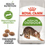 ROYAL CANIN Outdoor 6x400 g karma sucha dla kotów dorosłych, wychodzących na zewnątrz
