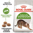 ROYAL CANIN Outdoor 12x400 g karma sucha dla kotów dorosłych, wychodzących na zewnątrz
