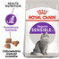 ROYAL CANIN Sensible 33 karma sucha dla kotów dorosłych, o wrażliwym przewodzie pokarmowym 24x400g