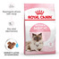 ROYAL CANIN Mother&Babycat karma sucha dla kotek w okresie ciąży, laktacji i kociąt od 1. do 4. miesiąca życia 6x400 g