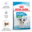 ROYAL CANIN Mini Puppy / Junior karma sucha dla szczeniąt, od 2 do 10 miesiąca życia, ras małych 6x800 g
