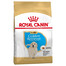 ROYAL CANIN Golden retriever junior 2x1 kg