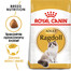 ROYAL CANIN Ragdoll adult 6x400 g karma sucha dla kotów dorosłych rasy ragdoll