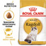 ROYAL CANIN Ragdoll adult 12x400 g karma sucha dla kotów dorosłych rasy ragdoll