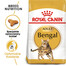 ROYAL CANIN Bengal Adult karma sucha dla kotów dorosłych rasy bengal 4x2 kg