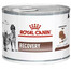 ROYAL CANIN Vet dog/cat recovery 24x195 g mokra karma dla psów i kotów w okresie intensywnej terapii i po zabiegach chirurgicznych, w okresie rekonwalescencji