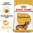 ROYAL CANIN Dachshund karma sucha dla psów dorosłych rasy jamnik 4x1.5 kg