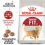 ROYAL CANIN REGULAR FIT 32 12x400 g karma sucha dla kotów dorosłych, wspierająca idealną kondycję