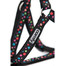 Szelki dotty s