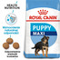 Maxi junior 15 kg + 3 kg gratis