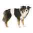 Pieluchy dla psów , S–M: 30–46 cm, 12 szt