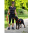 Szelki Do Biegania/Joggingu Canisport M zielone